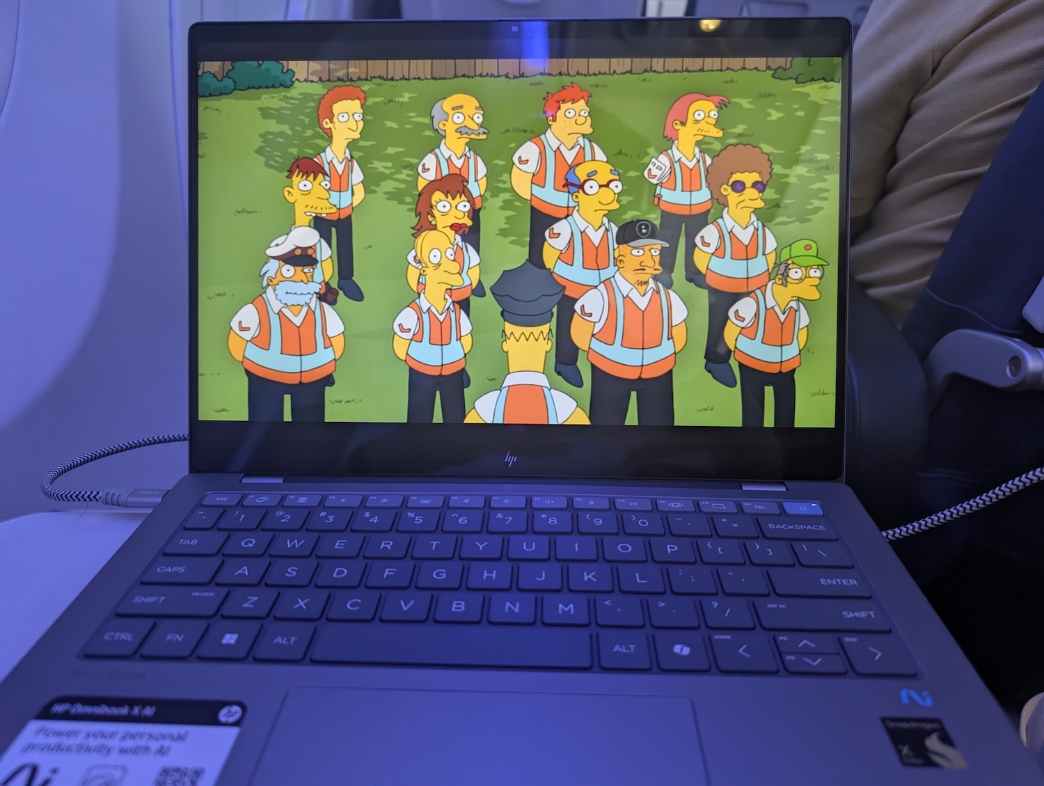 Watching The Simpsons on Airplane
